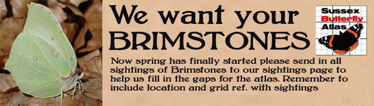 We want your Brimstones