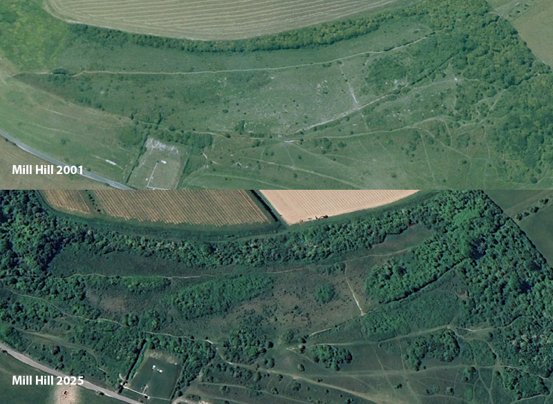 Mill Hill conservation area