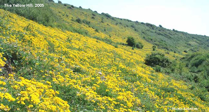 Butterfly habitat conditions